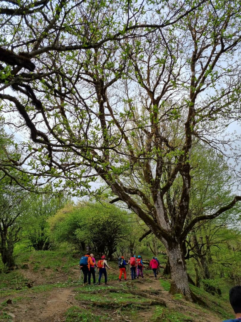 5aa0b876 abb3 41e4 b8a3 cb6bb7a2b6e2