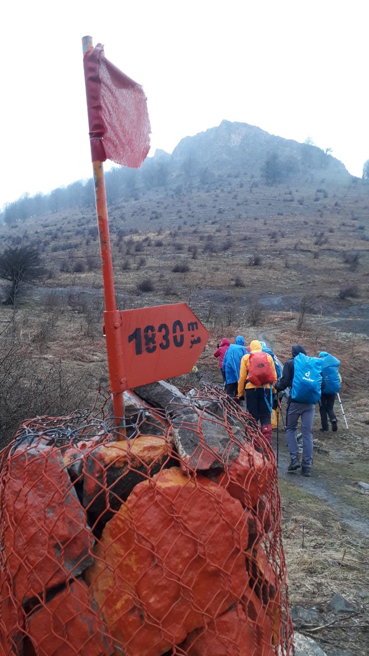 WhatsApp Image 2022 04 06 at 00.08.19