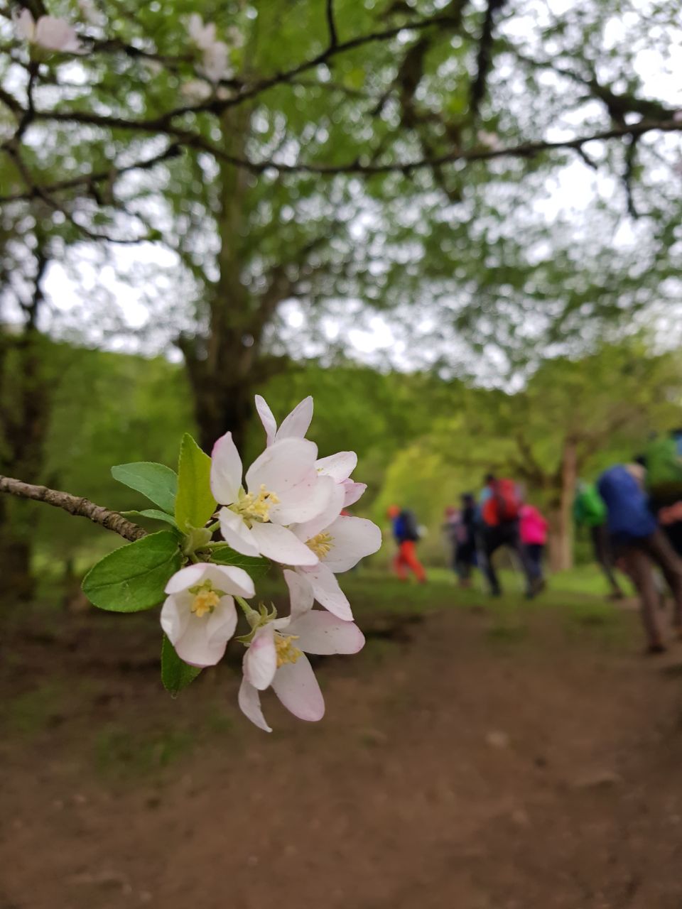 d2103006 9e9f 4ed4 9a9b 1026740b0532