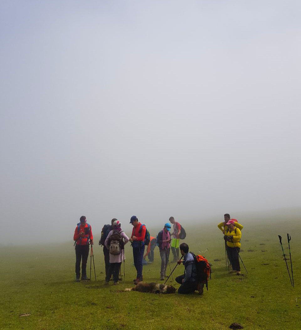 photo 2022 06 01 22 42 47