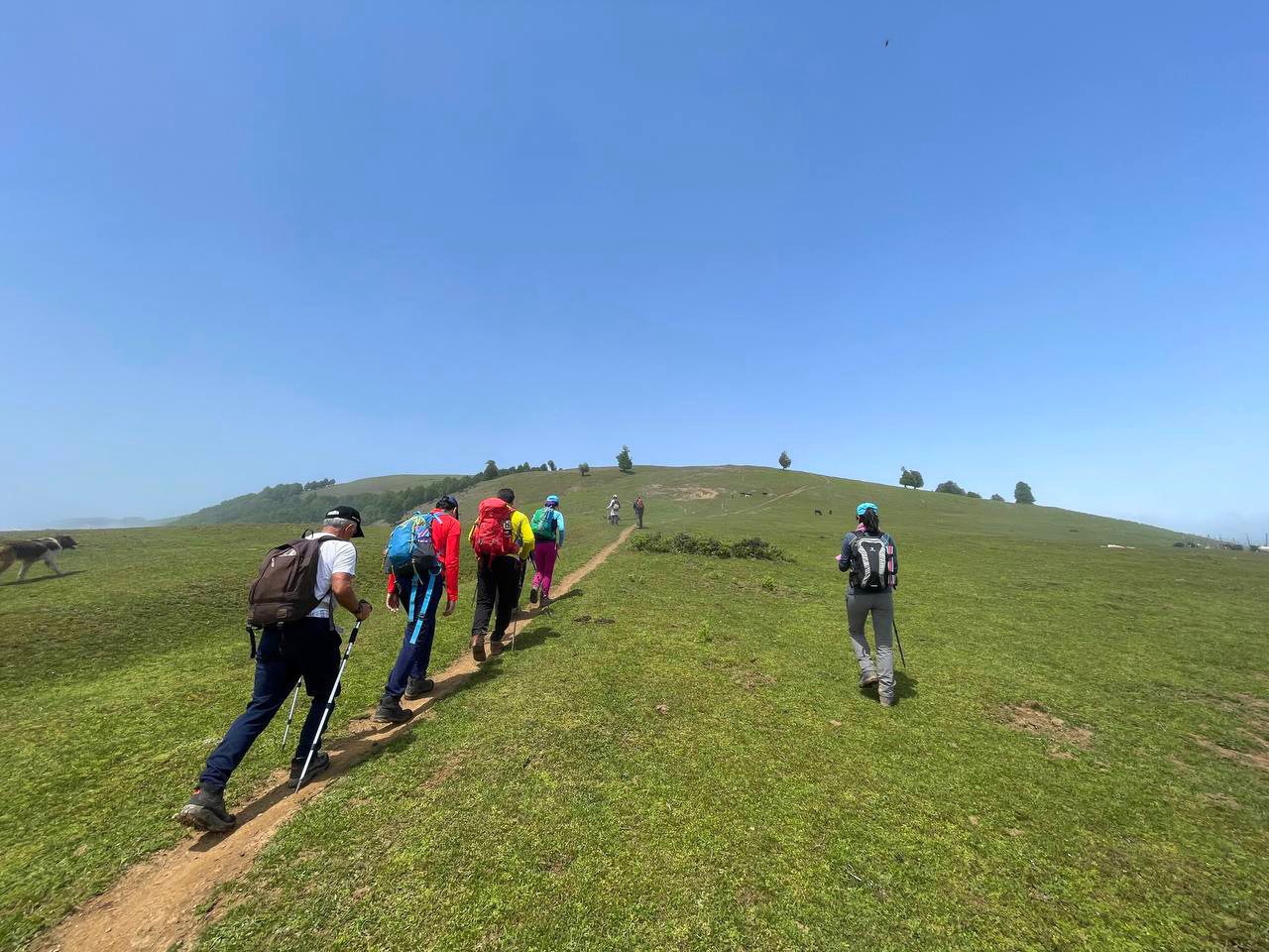 photo 2022 06 01 22 42 56