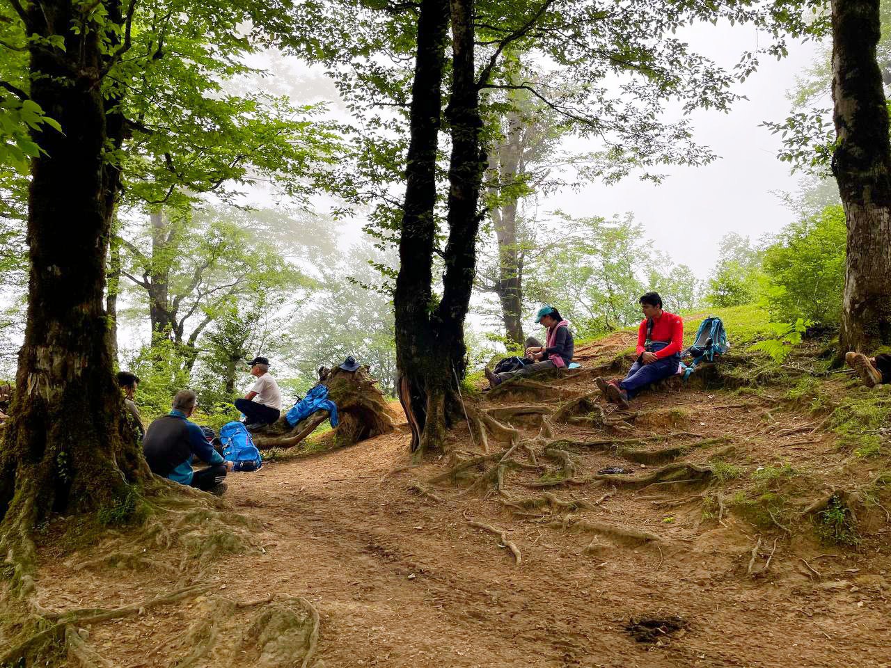 photo 2022 06 01 22 43 00