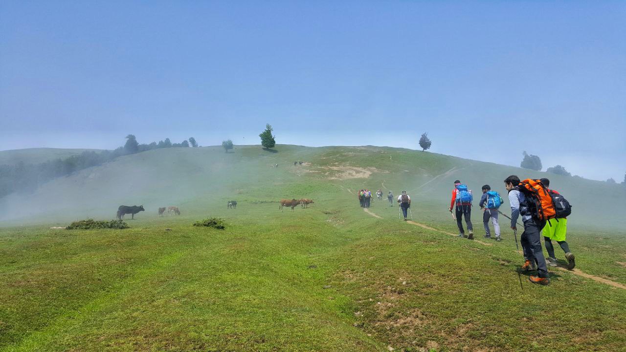 photo 2022 06 01 22 43 02